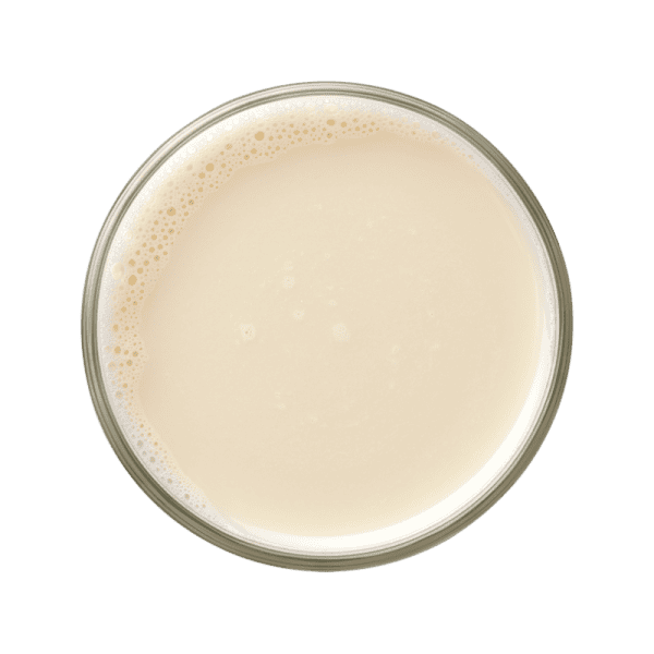 Leche de avena - Image 2