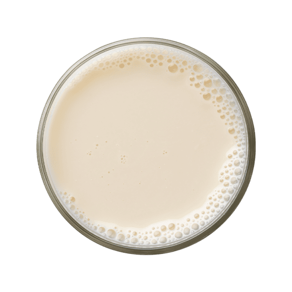 Leche de almendra - Image 2