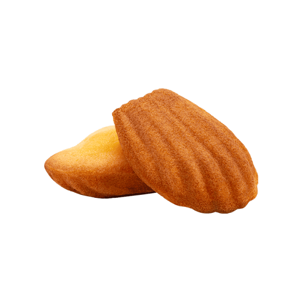 Madeleines - Image 2